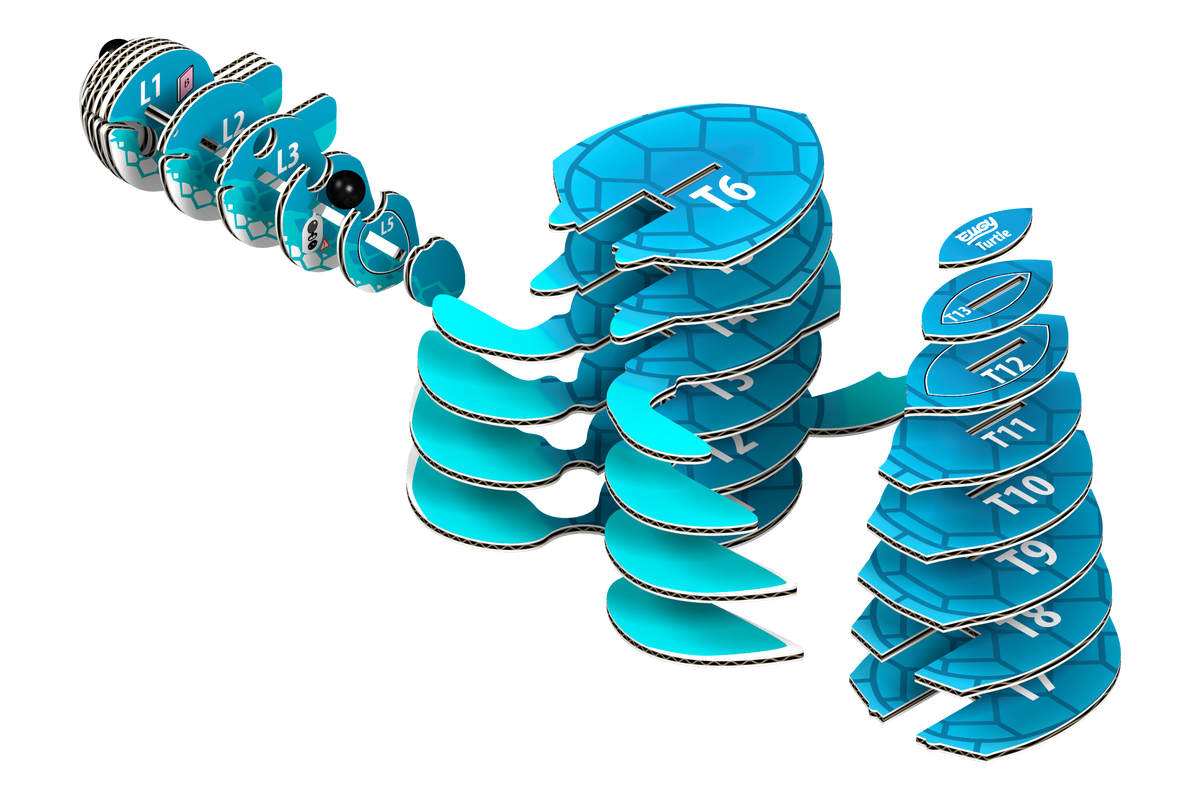 COMING SOON! EUGY Turtle 3D Puzzle