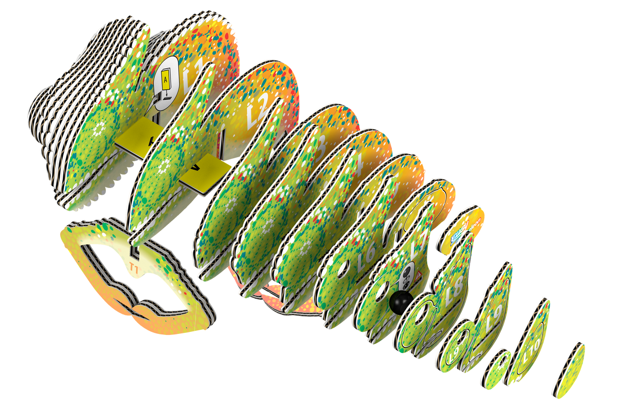 COMING SOON! EUGY Chameleon 3D Puzzle