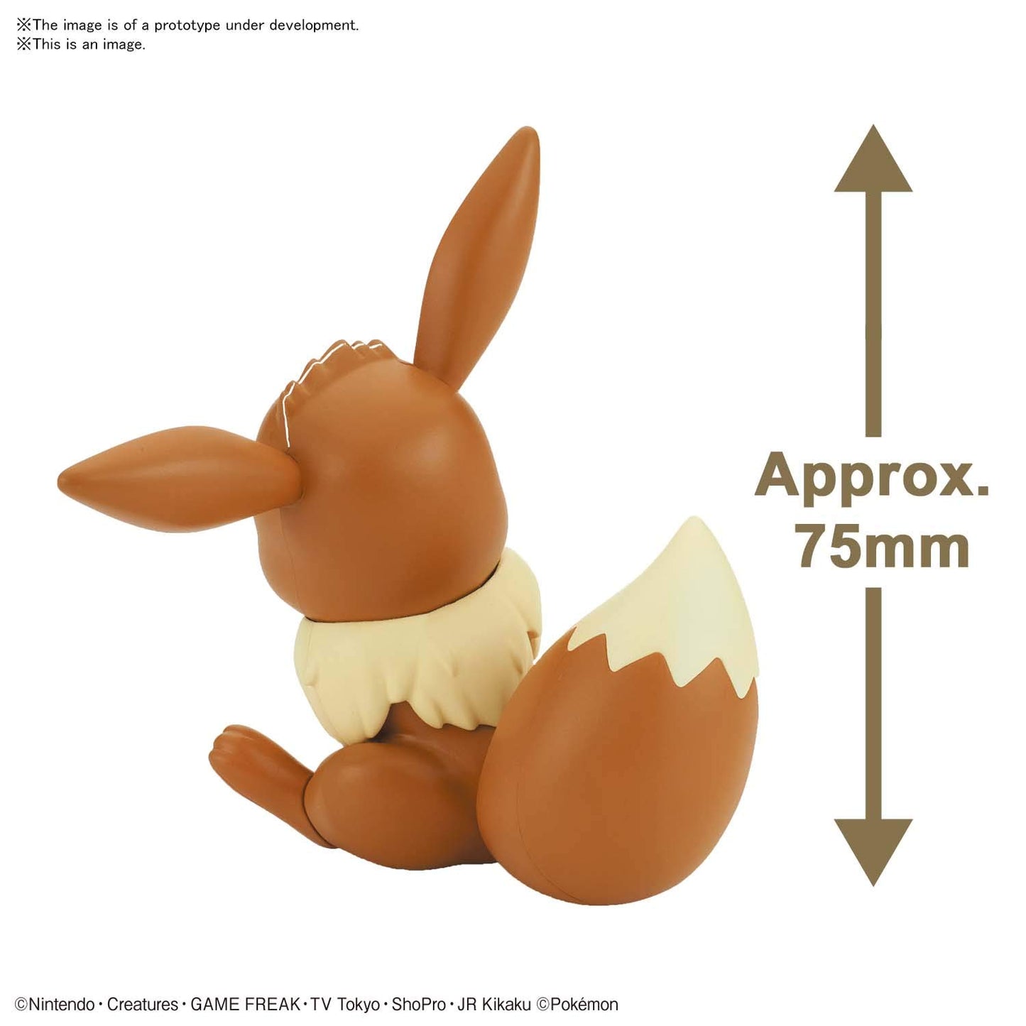 Pokemon Model Kit Quick!! 04 Eevee