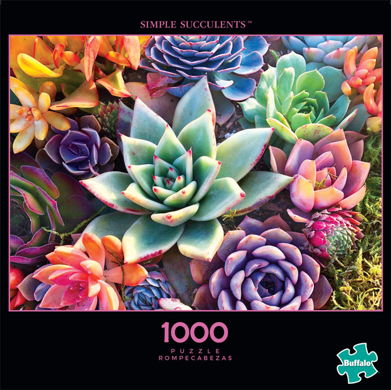 Buffalo - Simple Succulents - 1000 Piece Puzzle