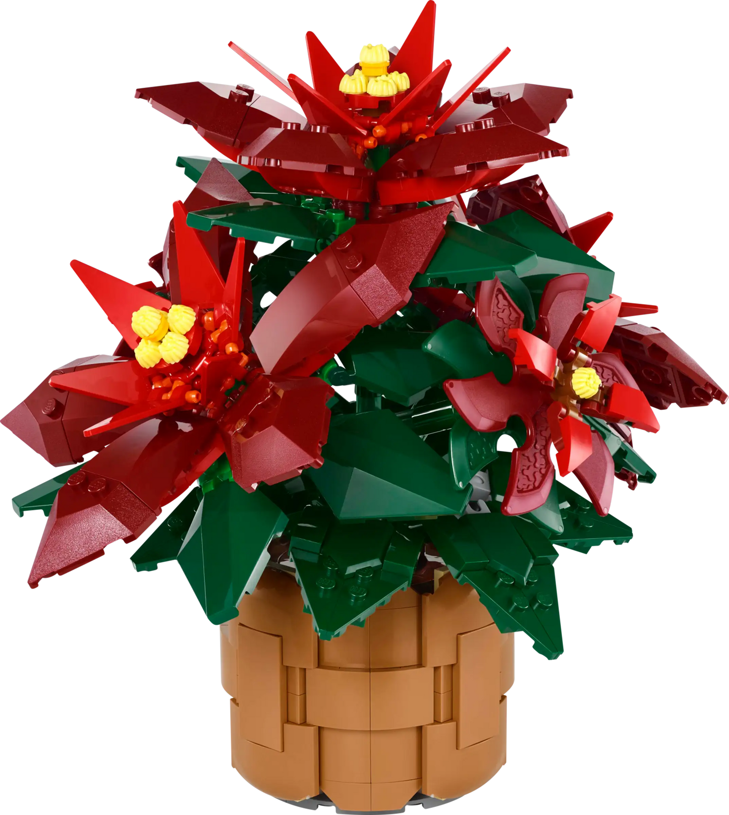 LEGO® Icons Poinsettia 10370