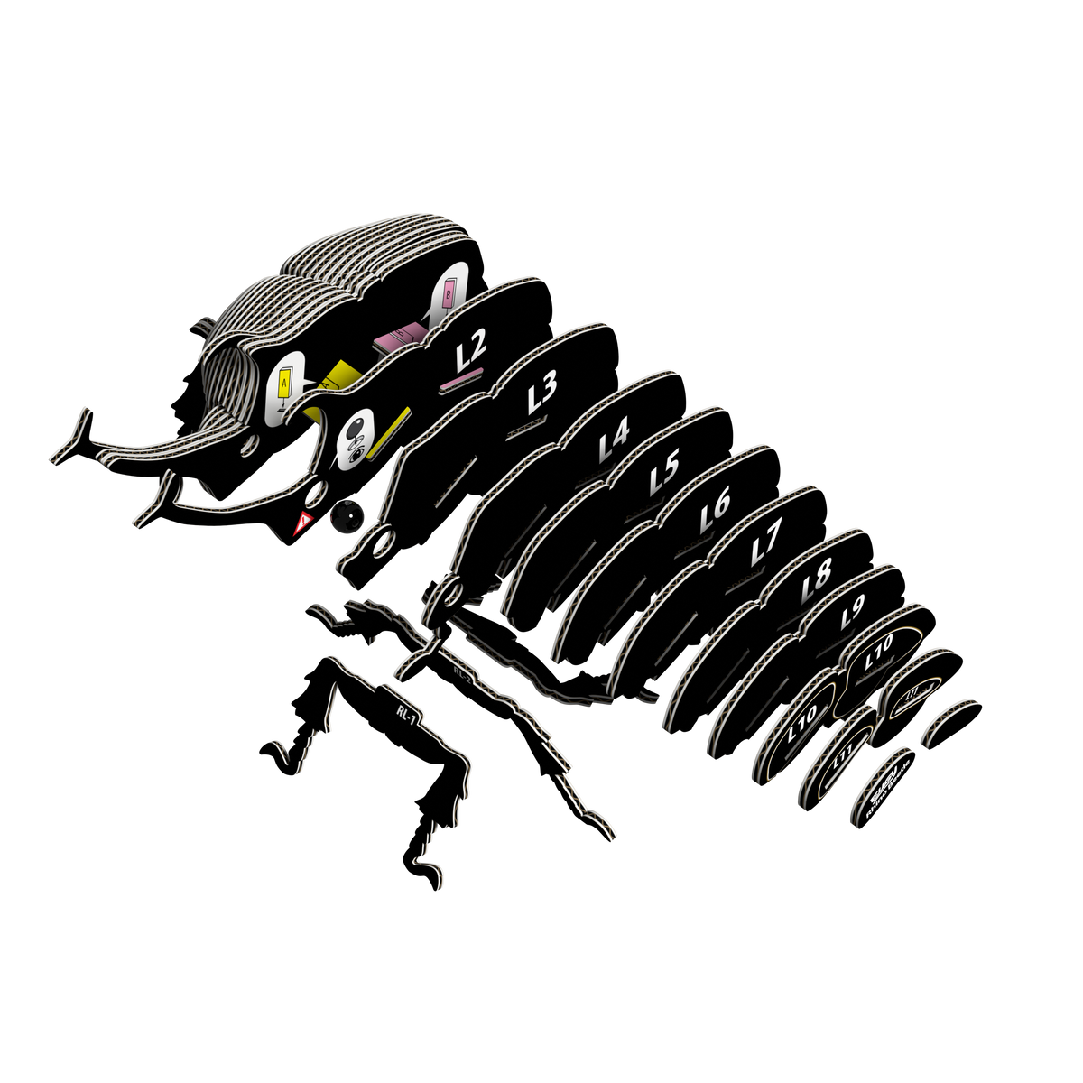 COMING SOON! EUGY Rhino Beetle 3D Puzzle