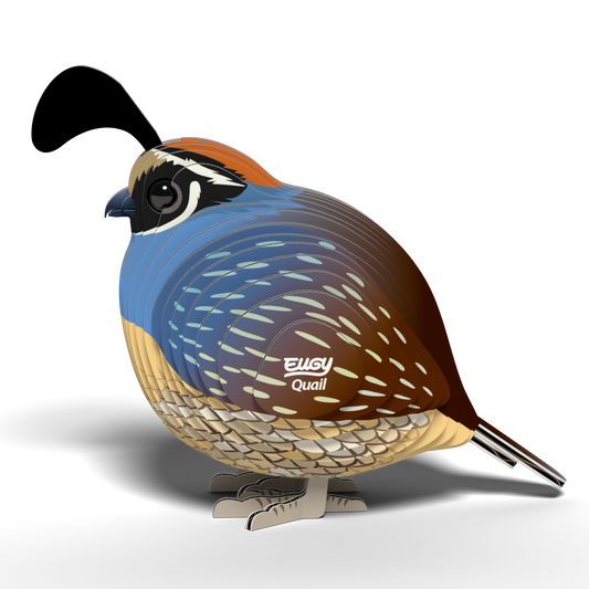 EUGY Quail 3D Puzzle