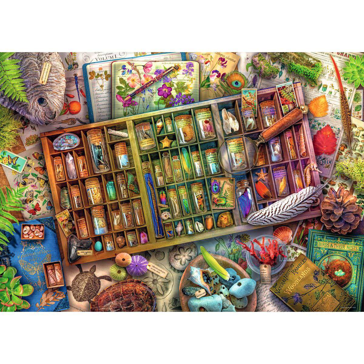 Ravensburger The Natural World 1000 Piece Jigsaw Puzzle