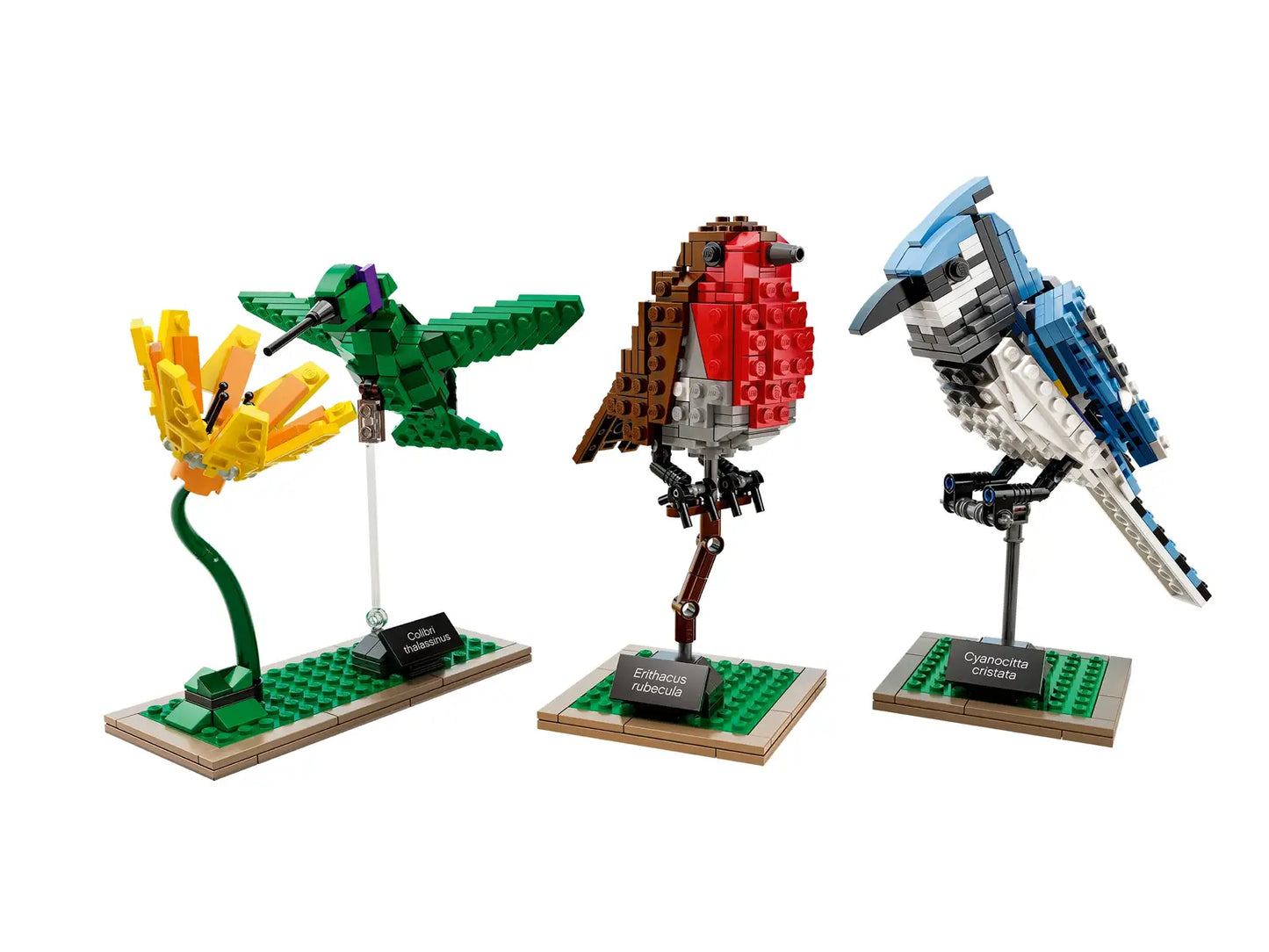 LEGO 21301 Birds