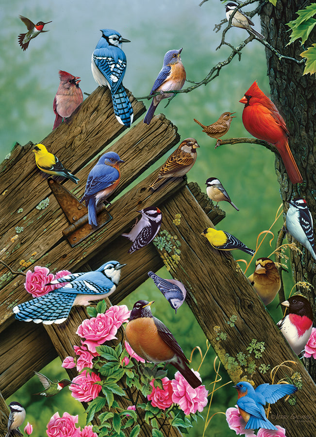 Birds of the Forest | 1000 Piece Puzzle