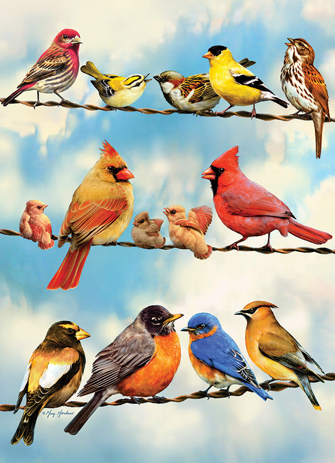 Birds on a Wire | 500 Piece Puzzle