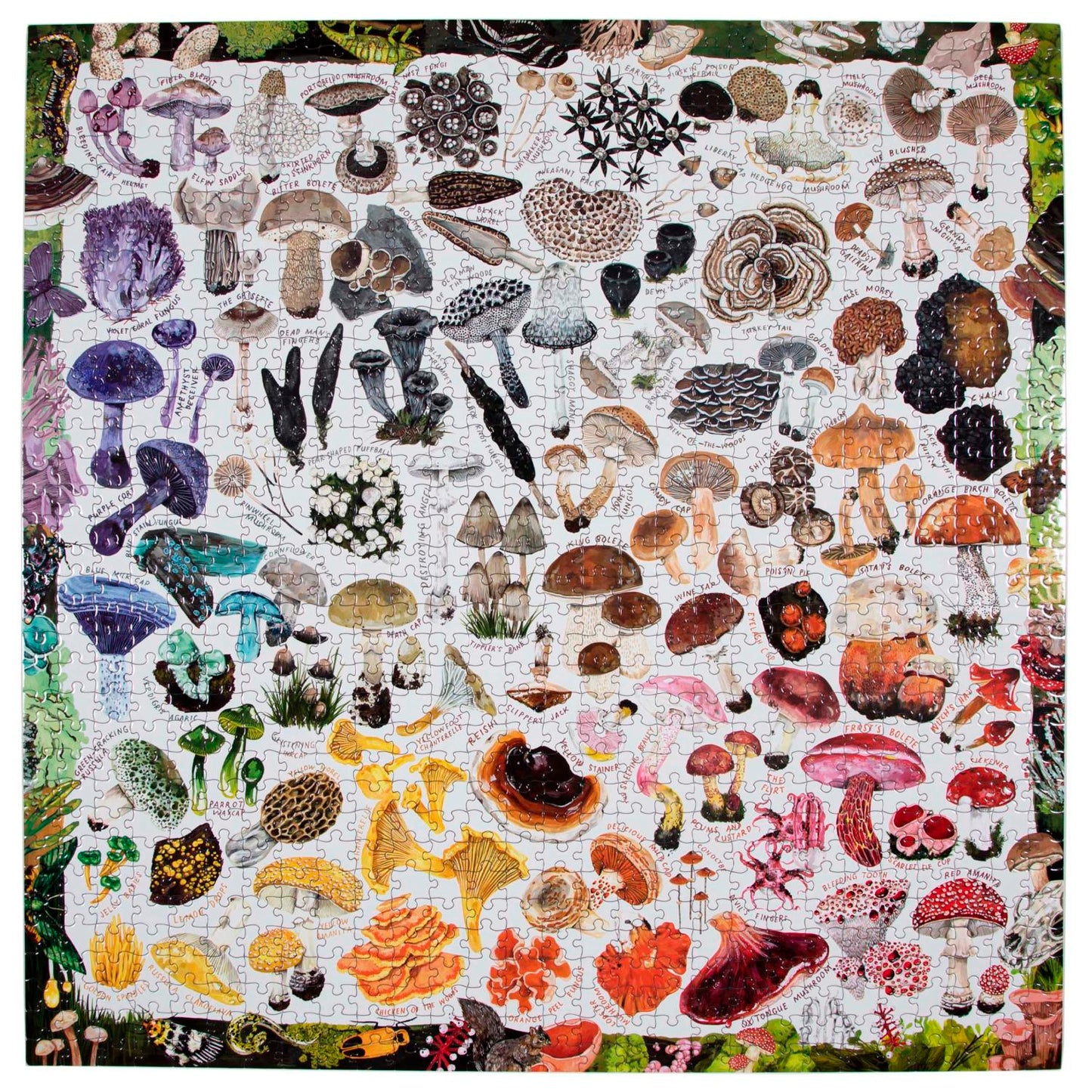 Mushroom Rainbow - 1000 Piece Jigsaw Puzzle by eeBoo