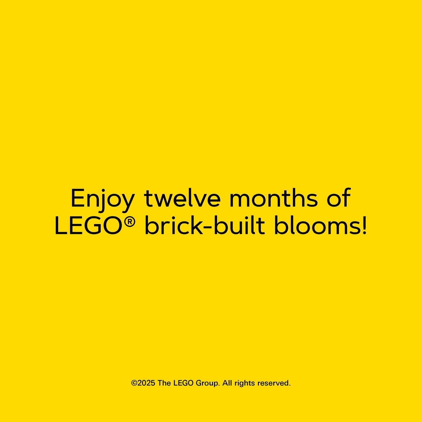 LEGO® 2026 Wall Calendar