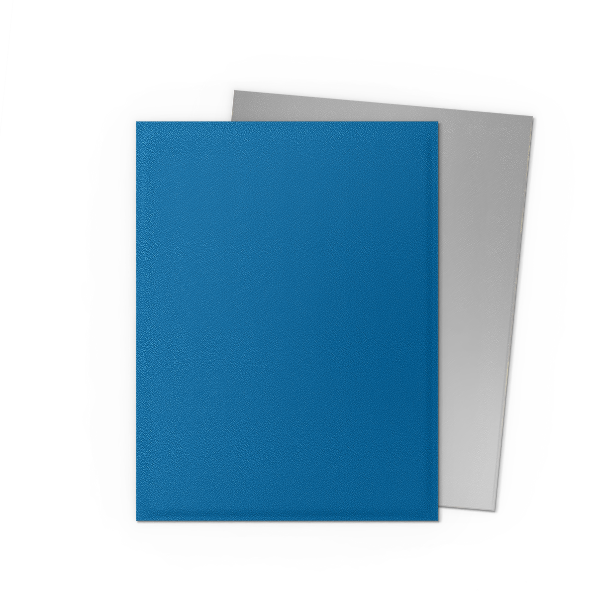 Dragon Shield: Matte Dual Sleeves, 100 Count (Choose Your Color!)