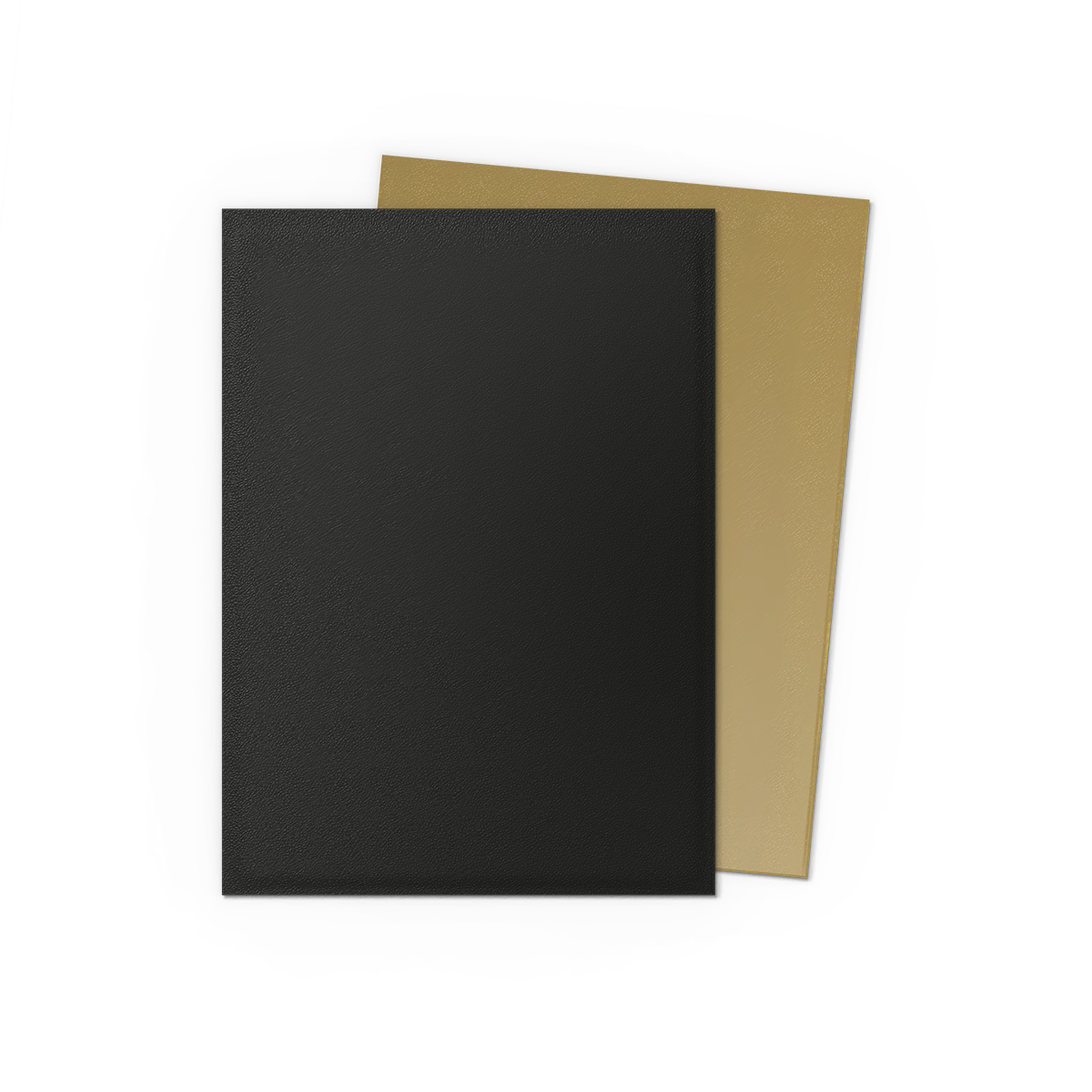 Dragon Shield: Matte Dual Sleeves, 100 Count (Choose Your Color!)