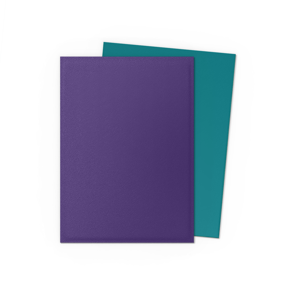 Dragon Shield: Matte Dual Sleeves, 100 Count (Choose Your Color!)