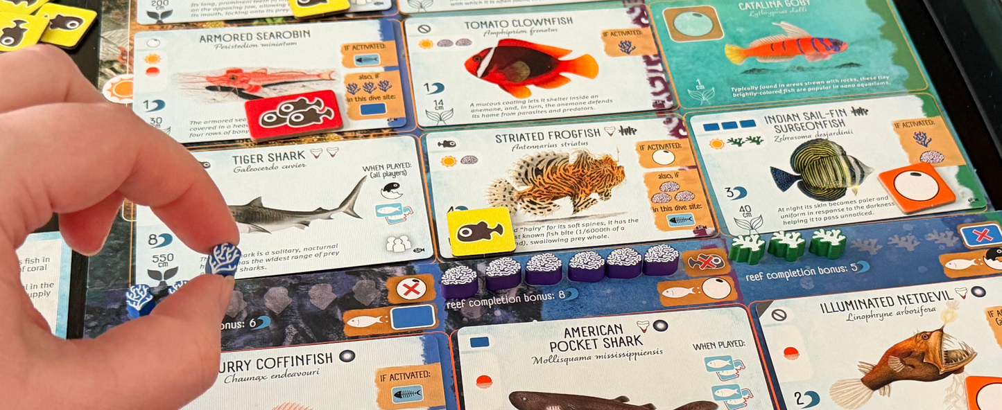 Finspan: Sharks & Reefs (Preorder Now for a June 12 release!)