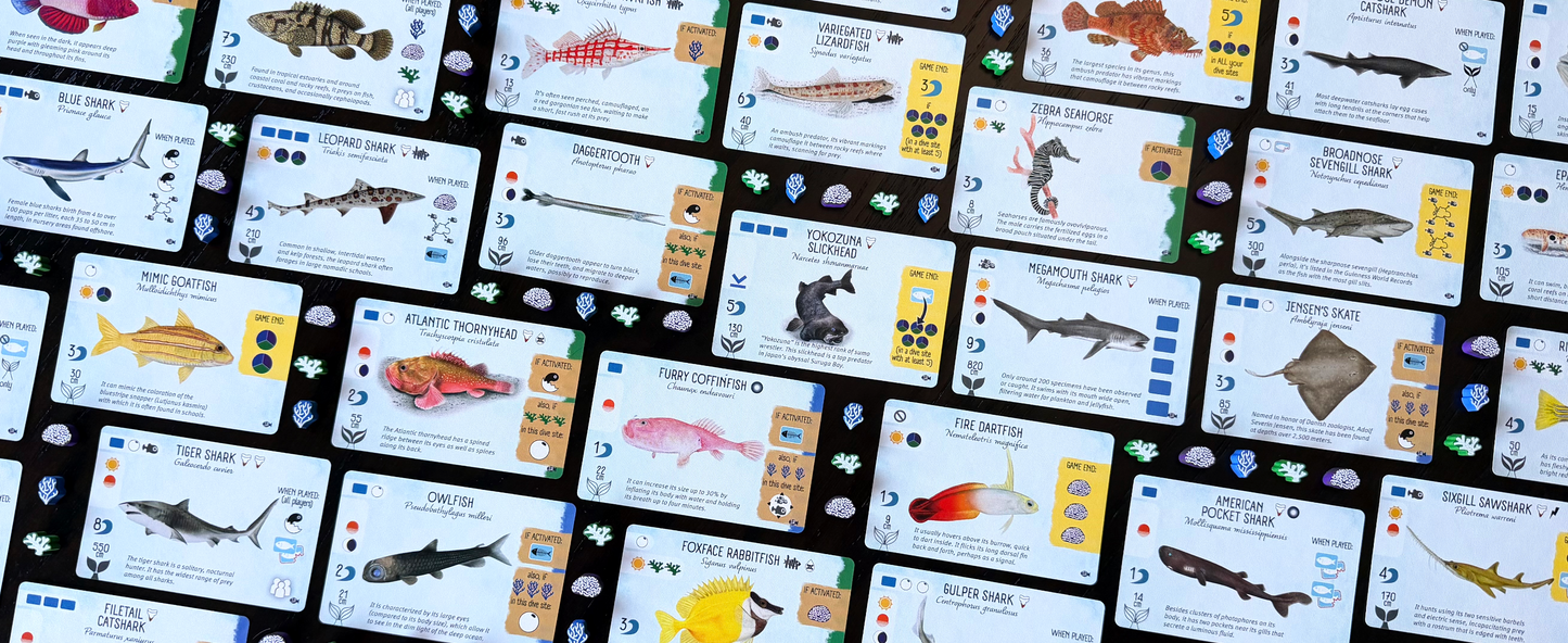 Finspan: Sharks & Reefs (Preorder Now for a June 12 release!)
