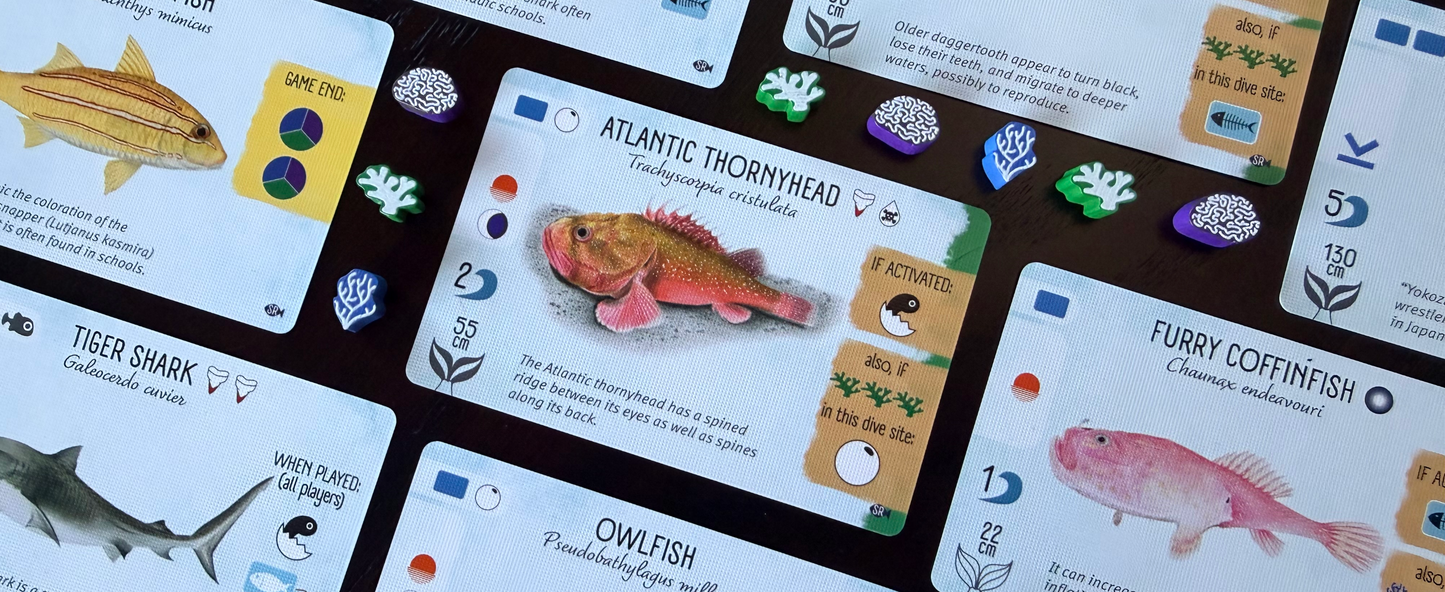Finspan: Sharks & Reefs (Preorder Now for a June 12 release!)