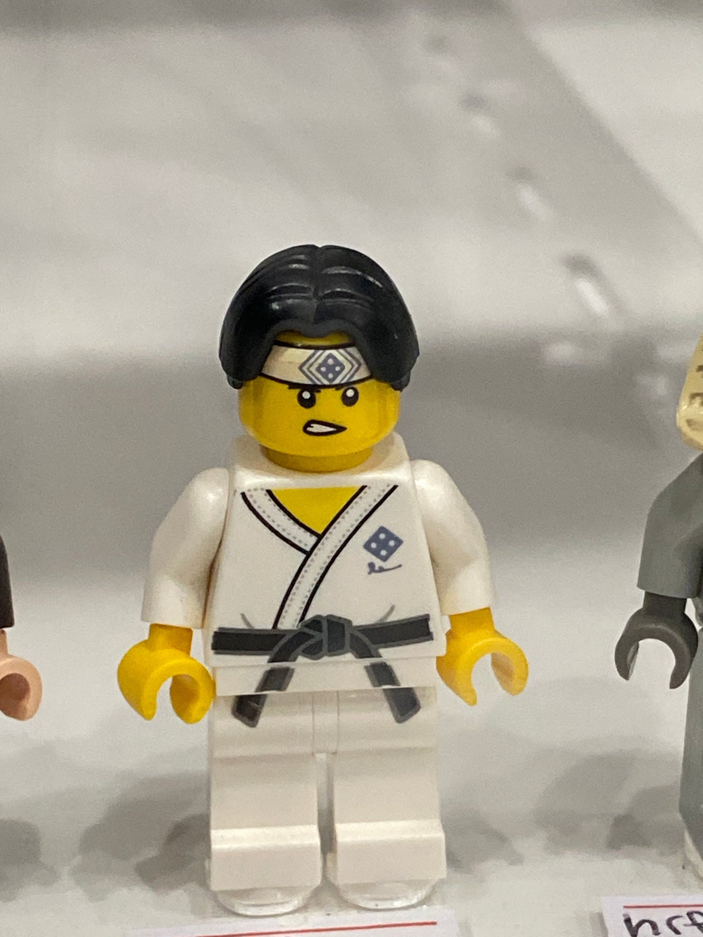 col367 Minifigure Martial Arts Boy, Series 20 (Minifigure Only without Stand and Accessories)