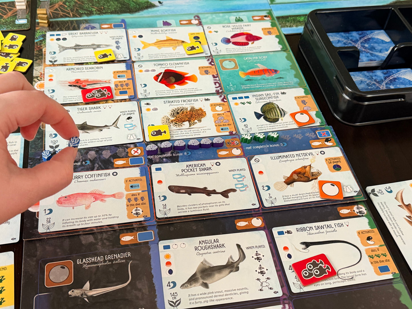 Finspan: Sharks & Reefs (Preorder Now for a June 12 release!)