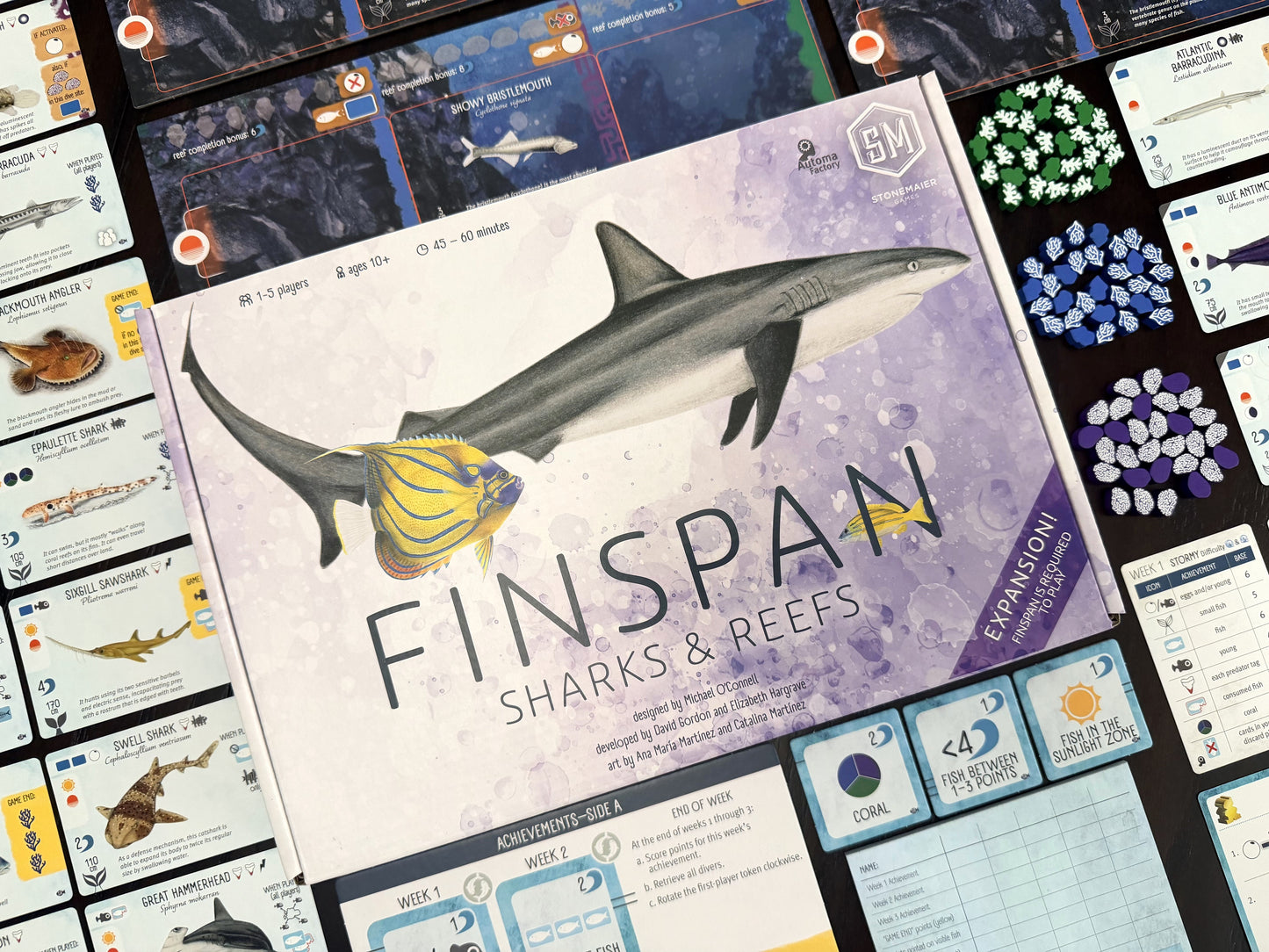 Finspan: Sharks & Reefs (Preorder Now for a June 12 release!)