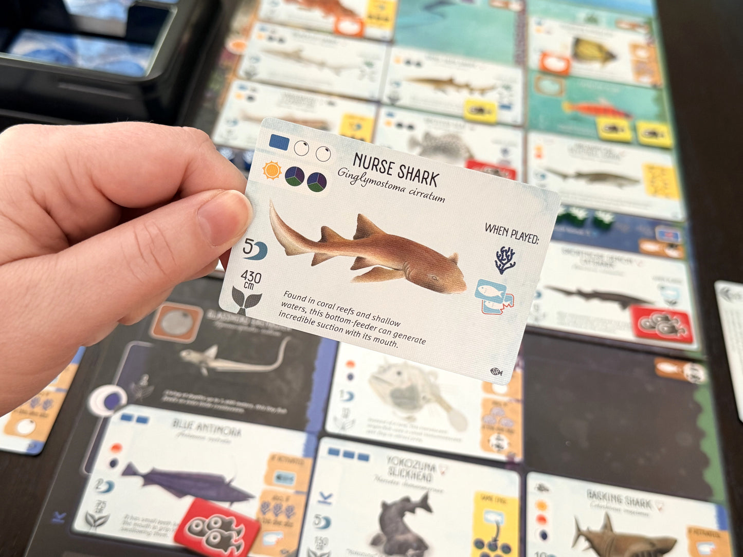 Finspan: Sharks & Reefs (Preorder Now for a June 12 release!)