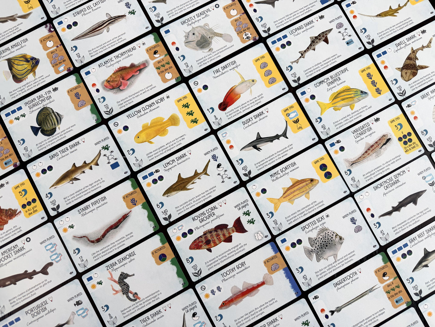 Finspan: Sharks & Reefs (Preorder Now for a June 12 release!)