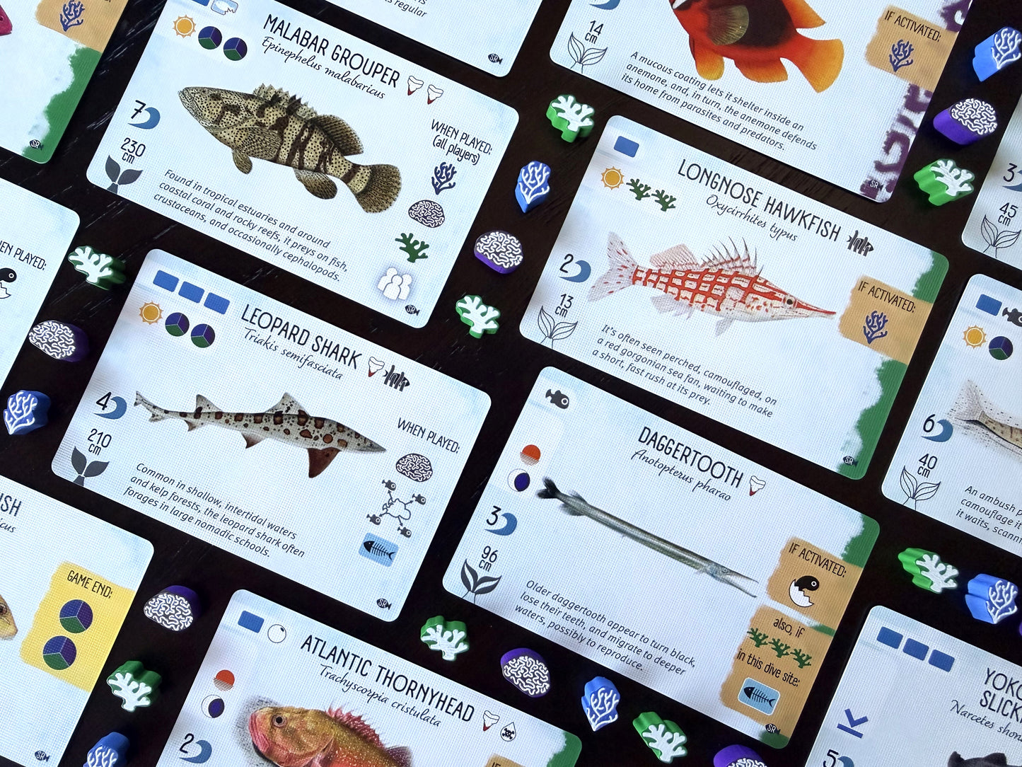 Finspan: Sharks & Reefs (Preorder Now for a June 12 release!)
