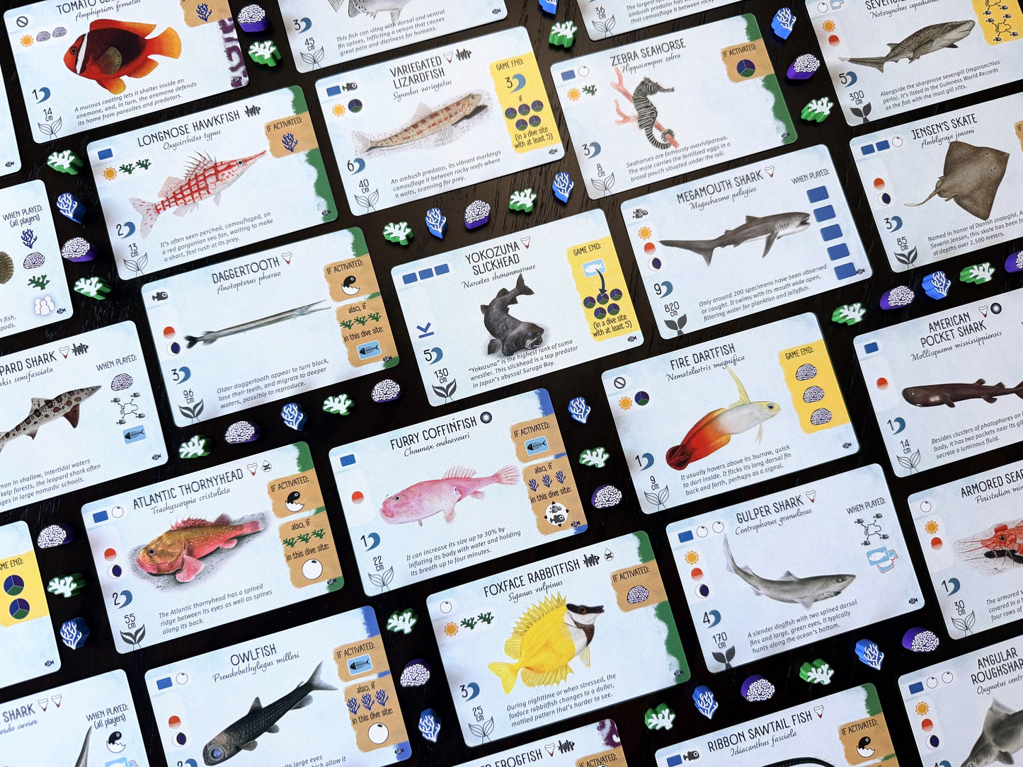 Finspan: Sharks & Reefs (Preorder Now for a June 12 release!)