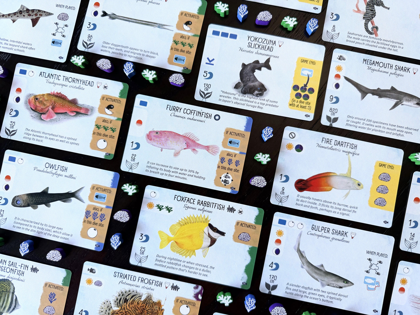 Finspan: Sharks & Reefs (Preorder Now for a June 12 release!)