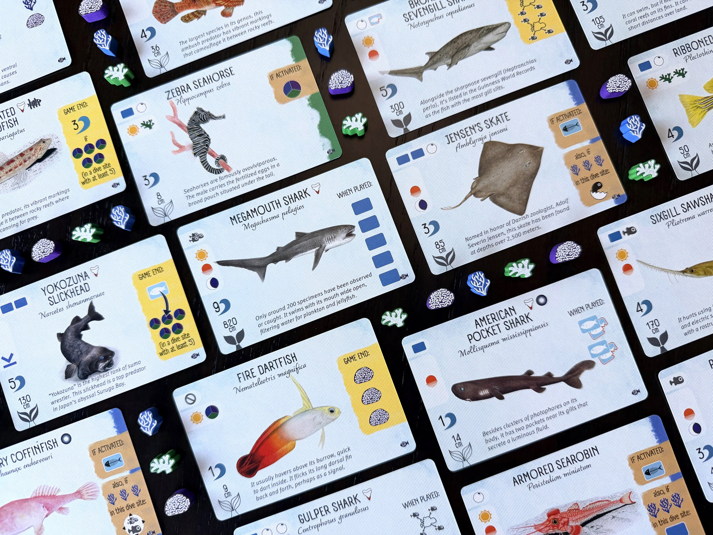 Finspan: Sharks & Reefs (Preorder Now for a June 12 release!)