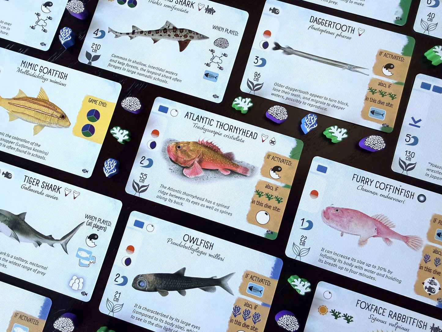 Finspan: Sharks & Reefs (Preorder Now for a June 12 release!)