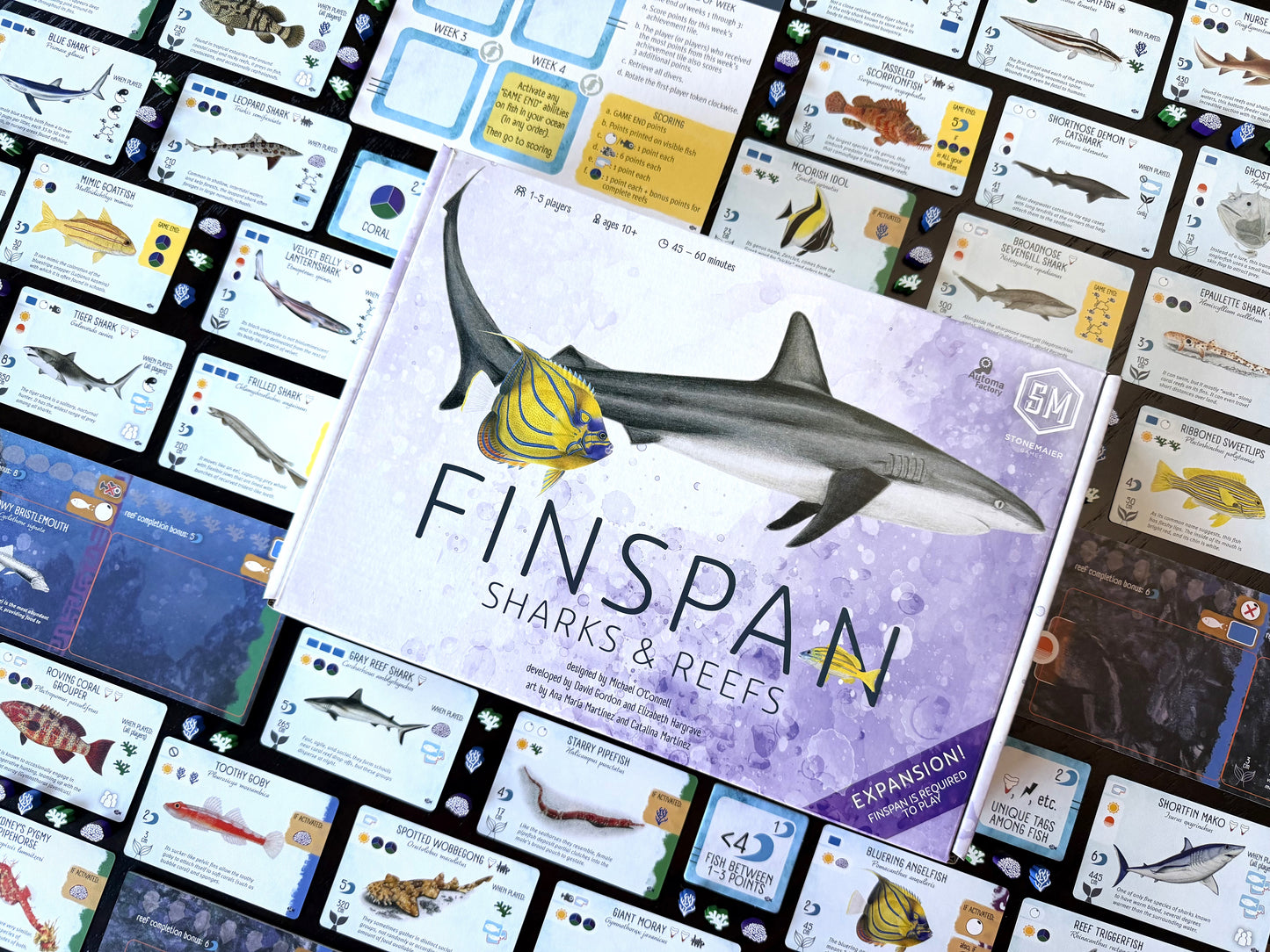Finspan: Sharks & Reefs (Preorder Now for a June 12 release!)
