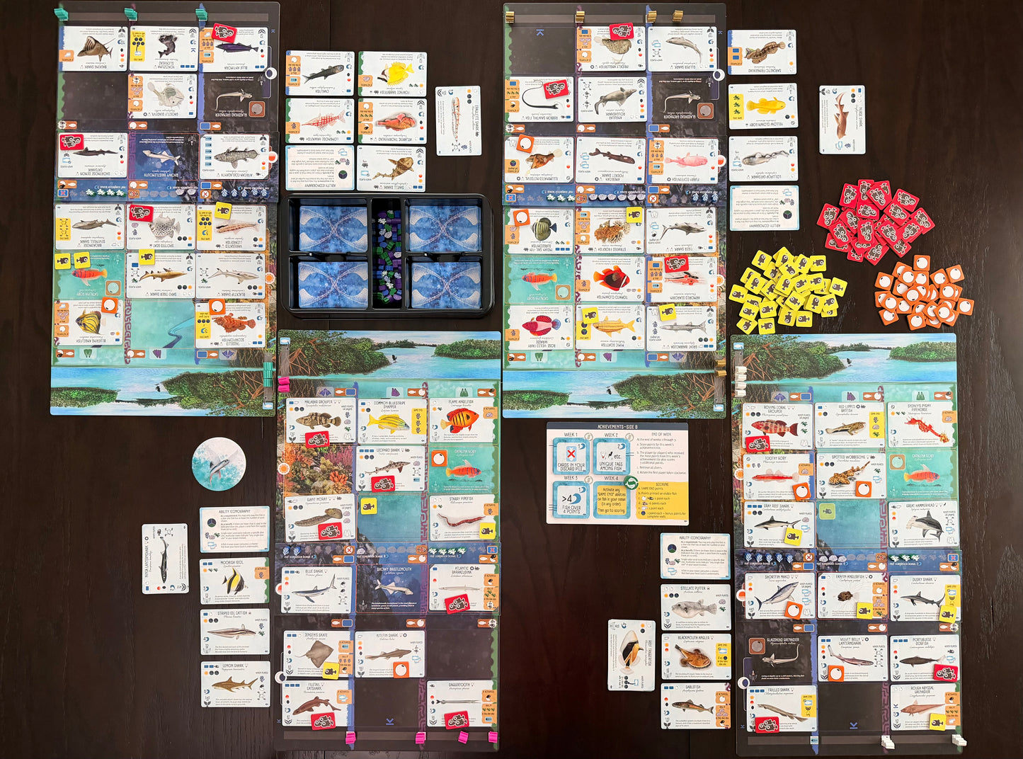 Finspan: Sharks & Reefs (Preorder Now for a June 12 release!)