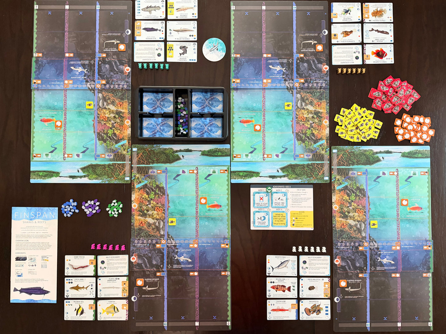 Finspan: Sharks & Reefs (Preorder Now for a June 12 release!)
