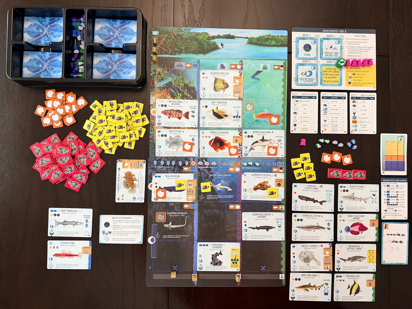 Finspan: Sharks & Reefs (Preorder Now for a June 12 release!)