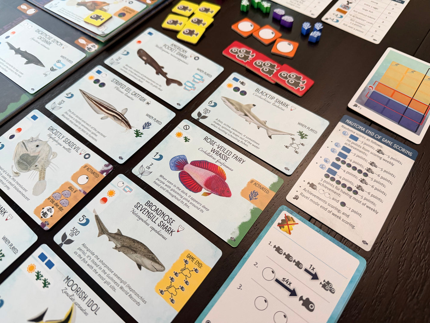Finspan: Sharks & Reefs (Preorder Now for a June 12 release!)