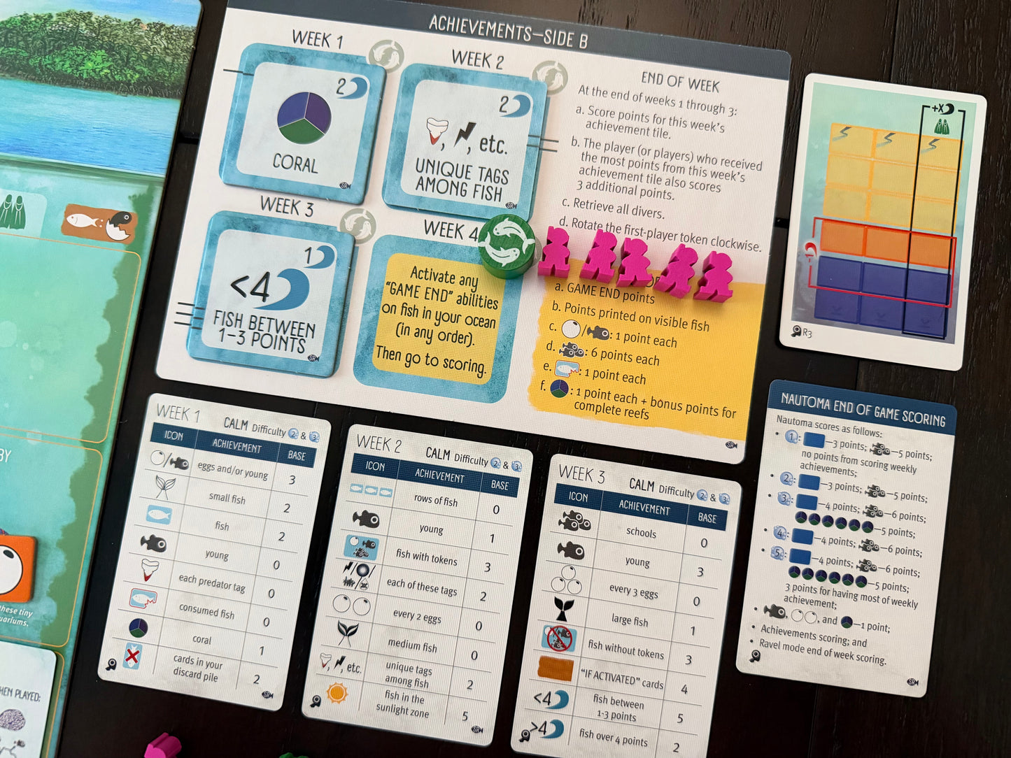 Finspan: Sharks & Reefs (Preorder Now for a June 12 release!)
