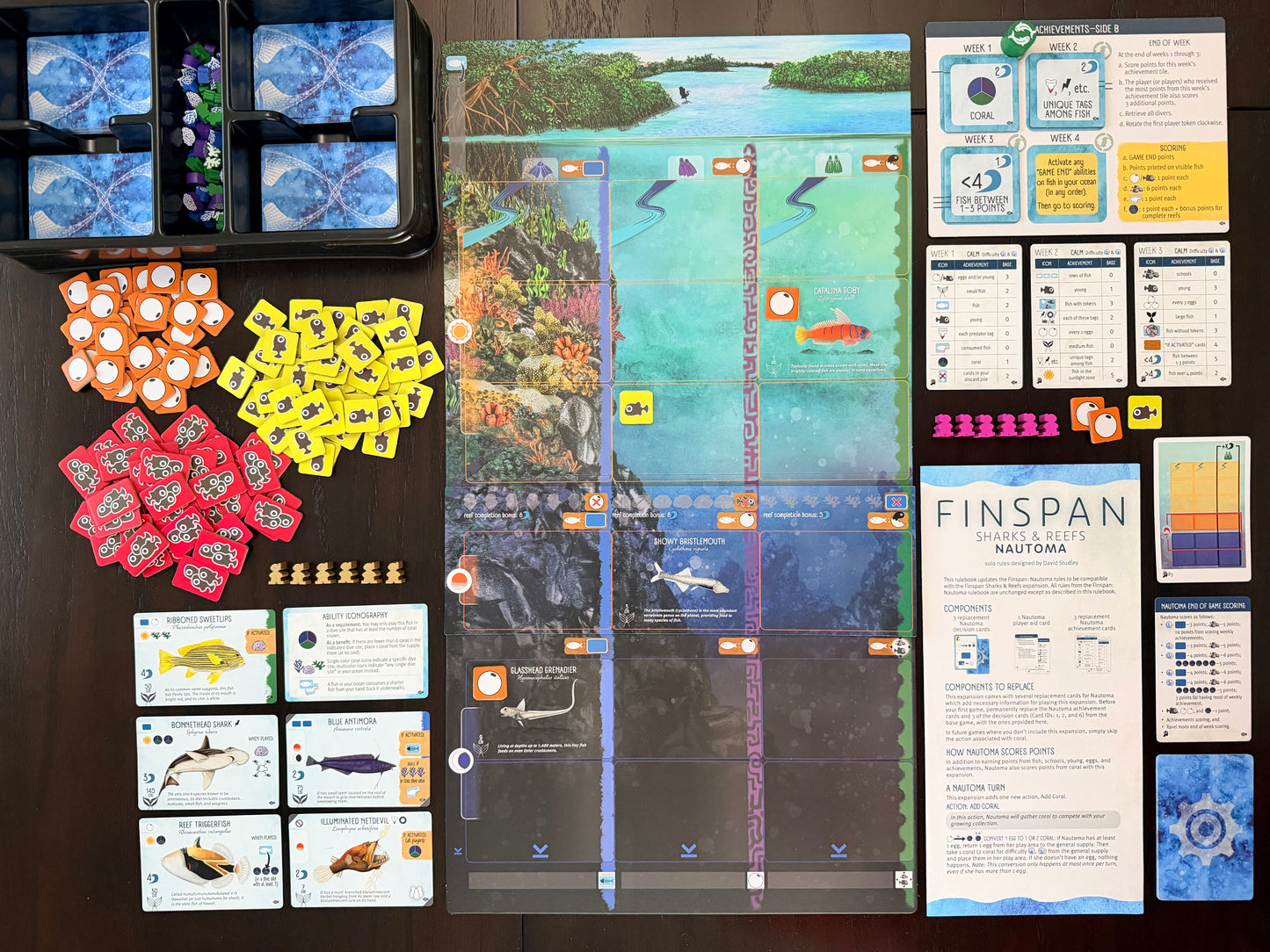 Finspan: Sharks & Reefs (Preorder Now for a June 12 release!)