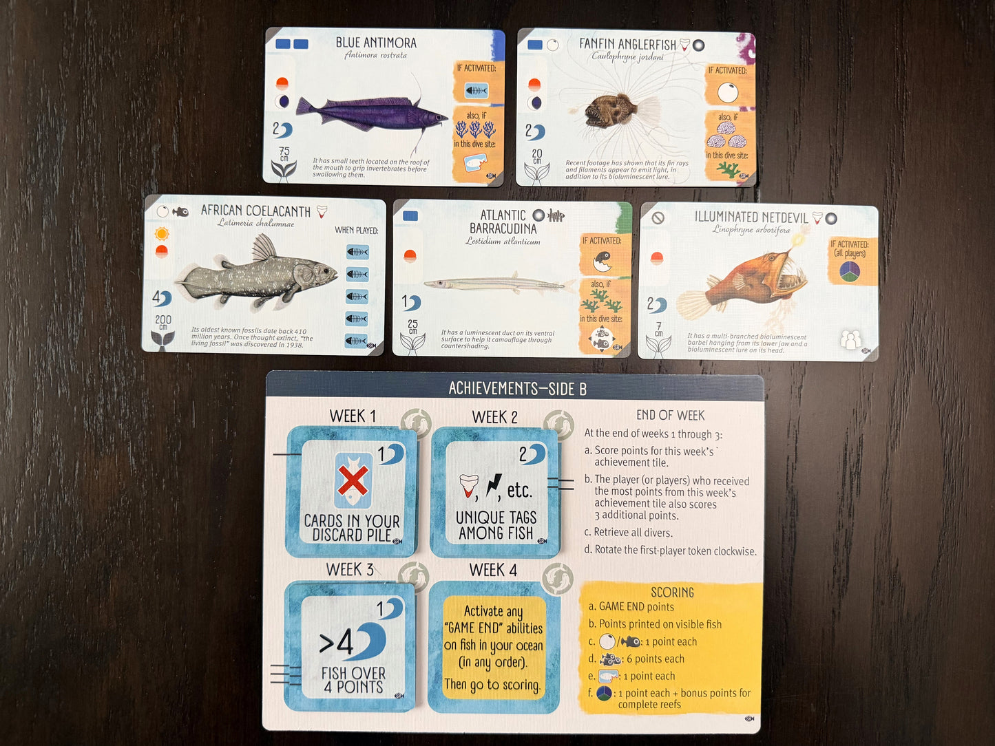 Finspan: Sharks & Reefs (Preorder Now for a June 12 release!)