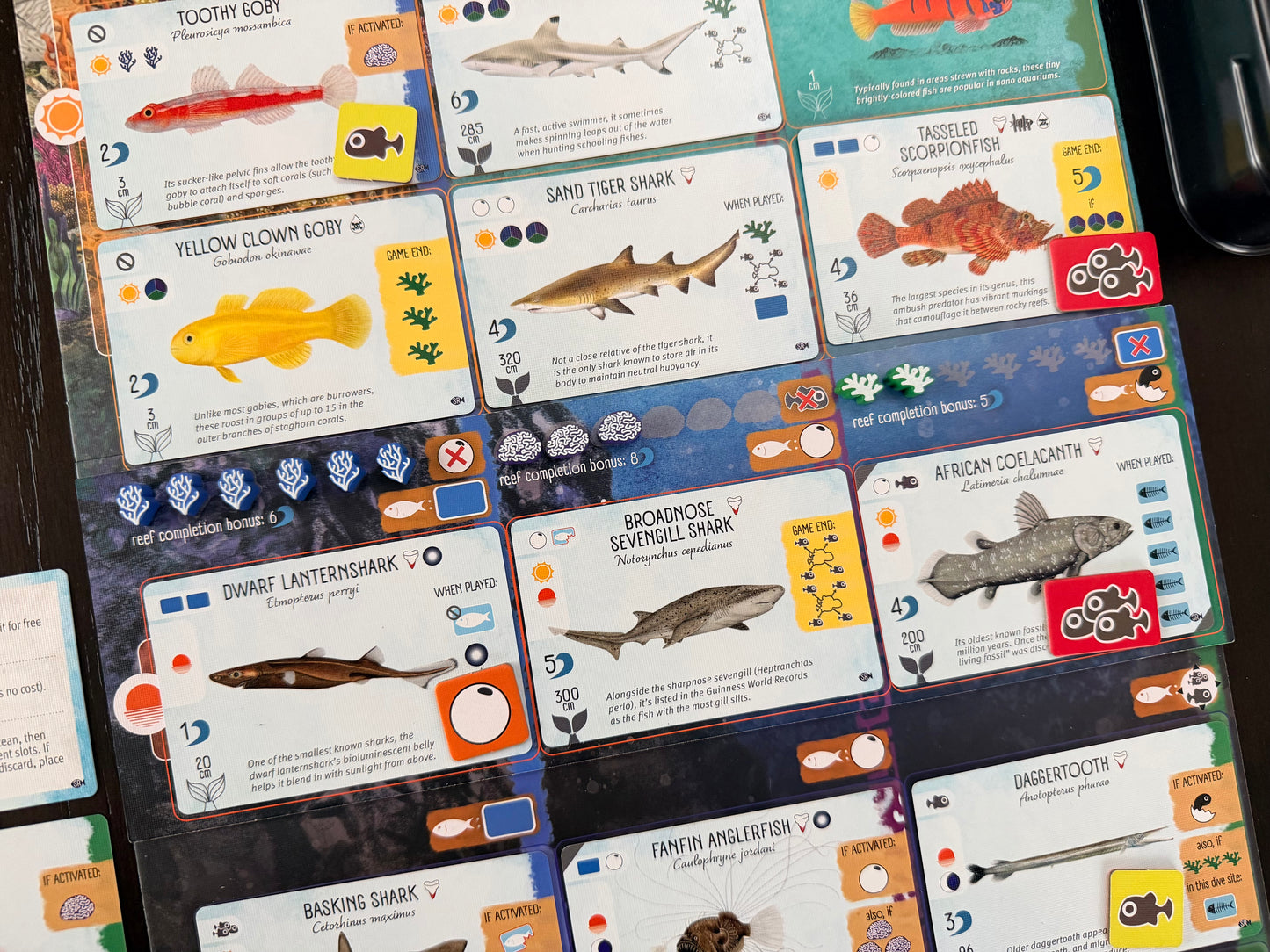 Finspan: Sharks & Reefs (Preorder Now for a June 12 release!)