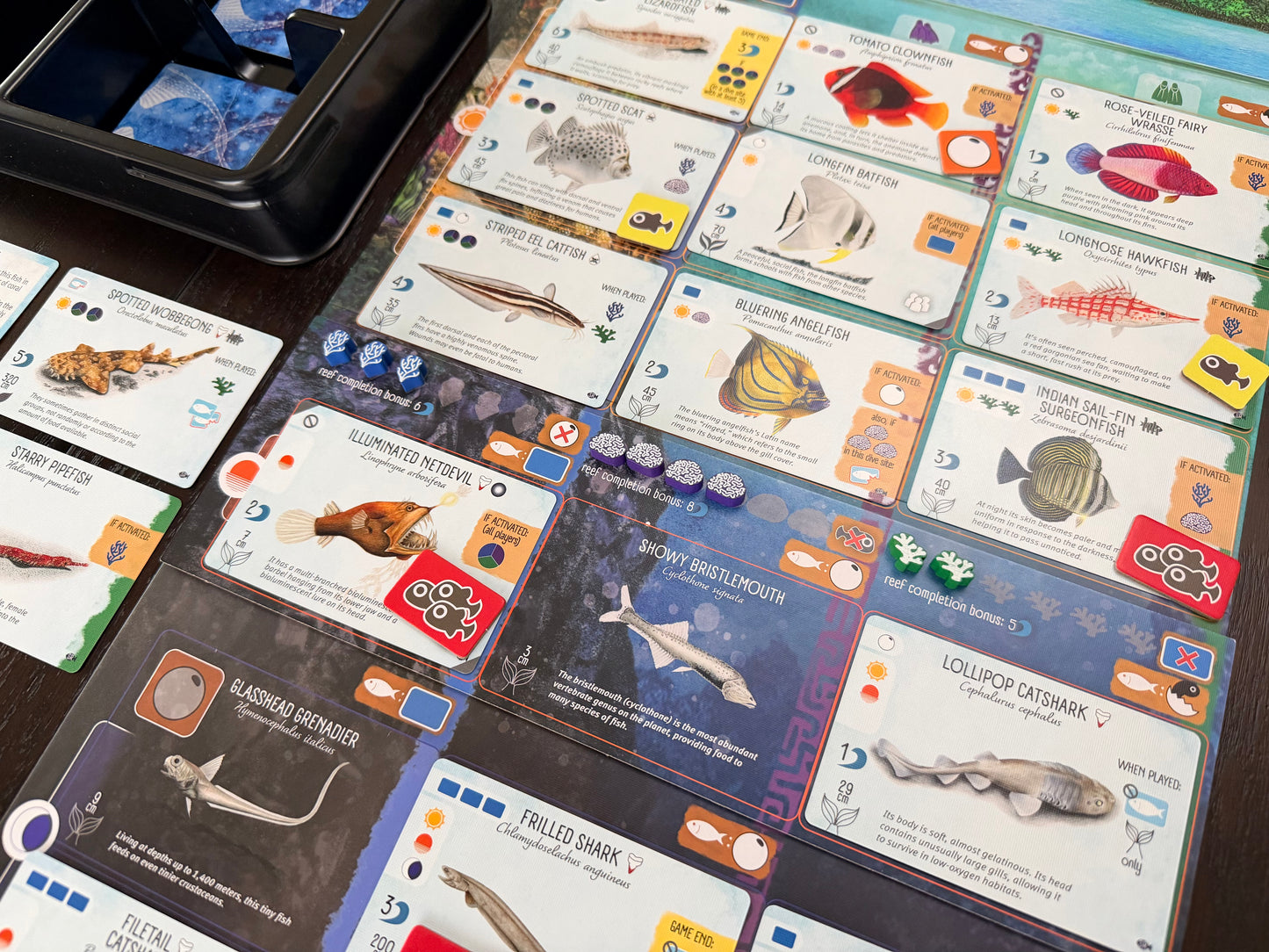 Finspan: Sharks & Reefs (Preorder Now for a June 12 release!)