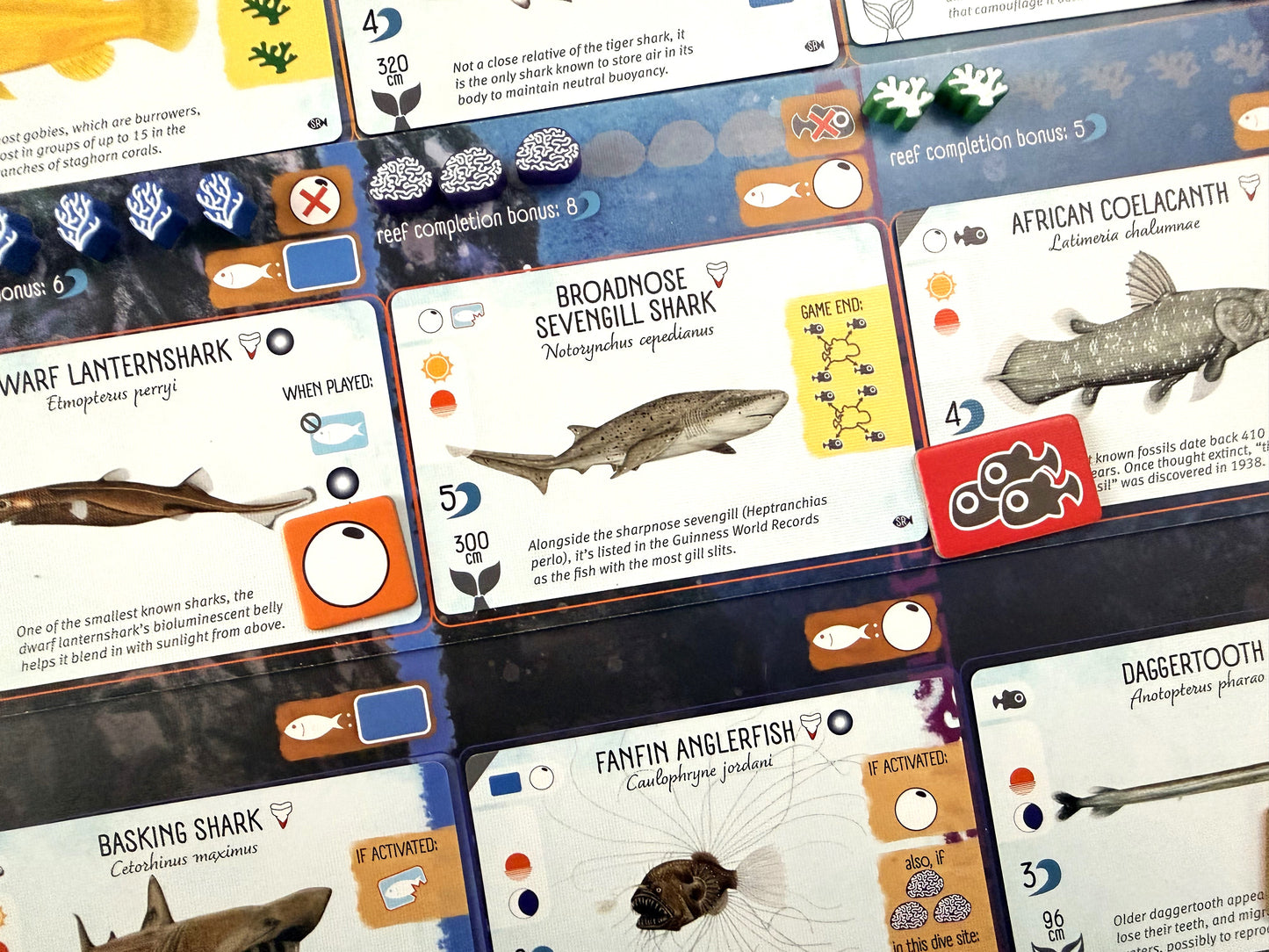 Finspan: Sharks & Reefs (Preorder Now for a June 12 release!)