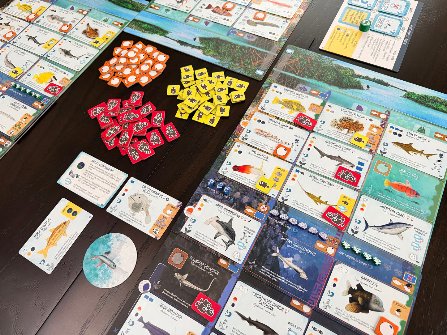 Finspan: Sharks & Reefs (Preorder Now for a June 12 release!)
