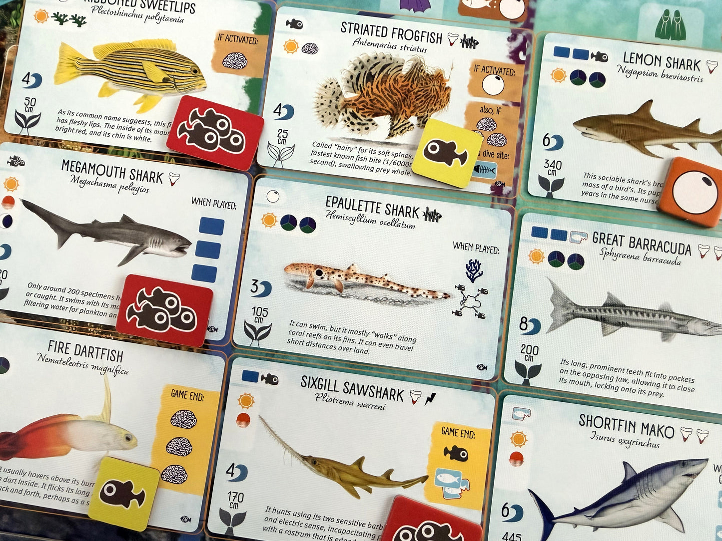 Finspan: Sharks & Reefs (Preorder Now for a June 12 release!)