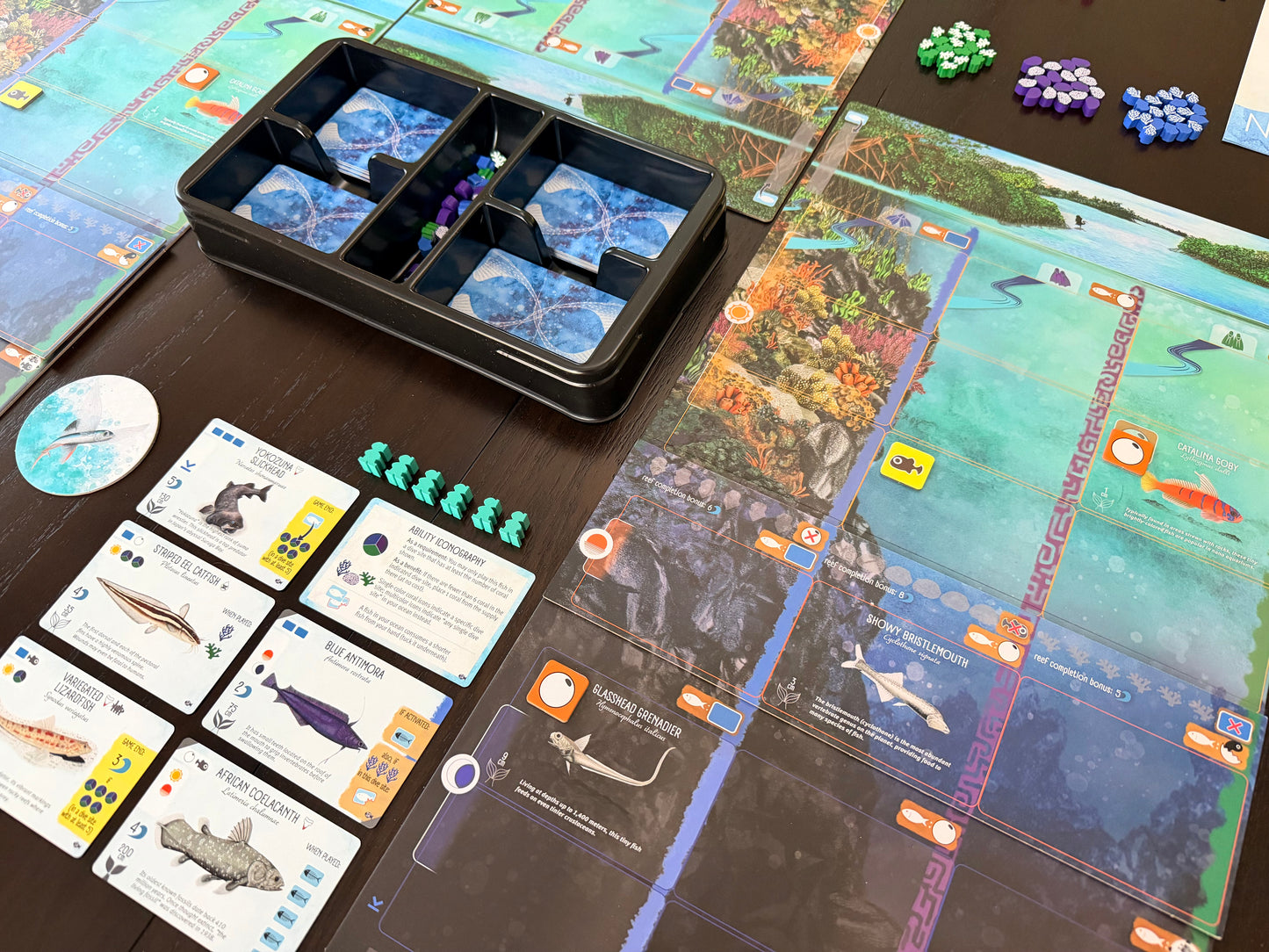 Finspan: Sharks & Reefs (Preorder Now for a June 12 release!)