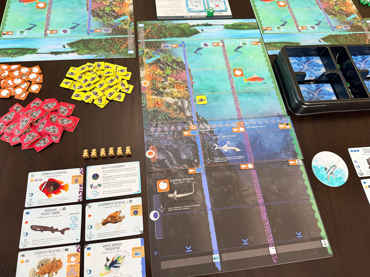 Finspan: Sharks & Reefs (Preorder Now for a June 12 release!)