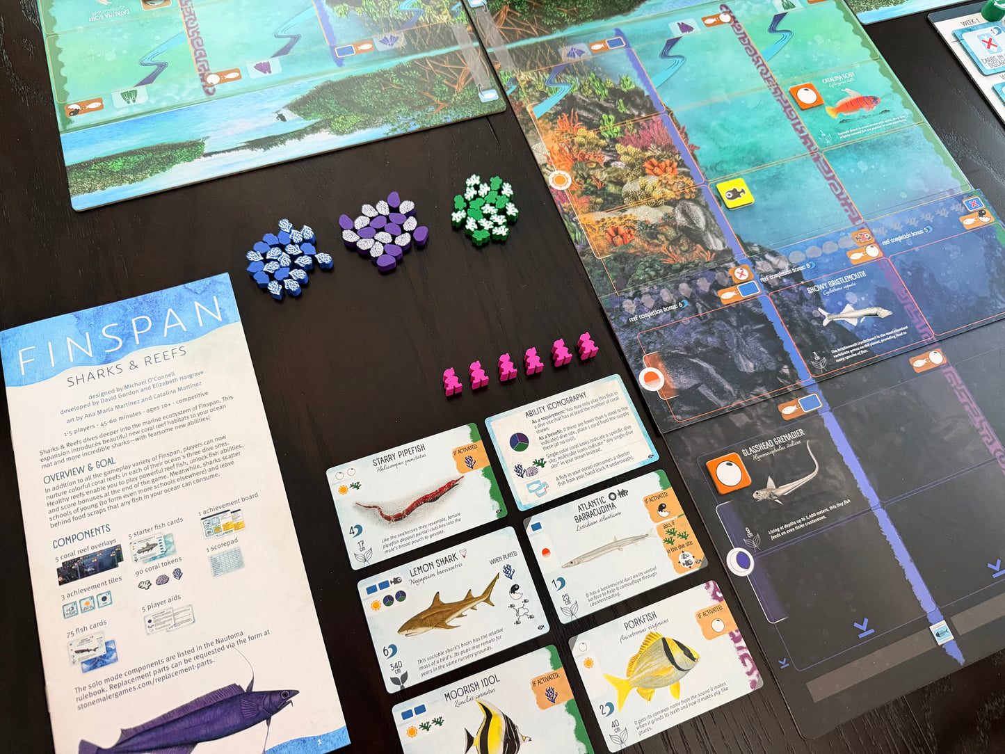 Finspan: Sharks & Reefs (Preorder Now for a June 12 release!)