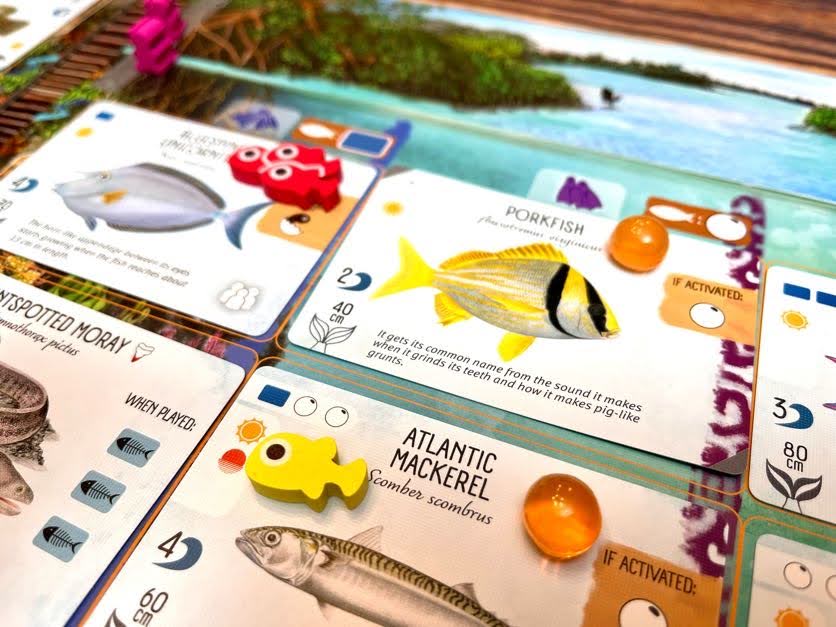 Finspan Upgrade Pack (Wooden Tokens & Squishy Eggs)