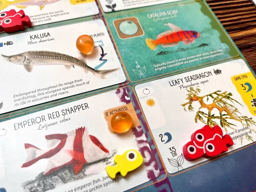 Finspan Upgrade Pack (Wooden Tokens & Squishy Eggs)