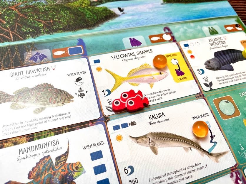 Finspan Upgrade Pack (Wooden Tokens & Squishy Eggs)