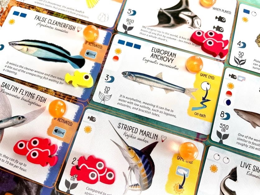 Finspan Upgrade Pack (Wooden Tokens & Squishy Eggs)