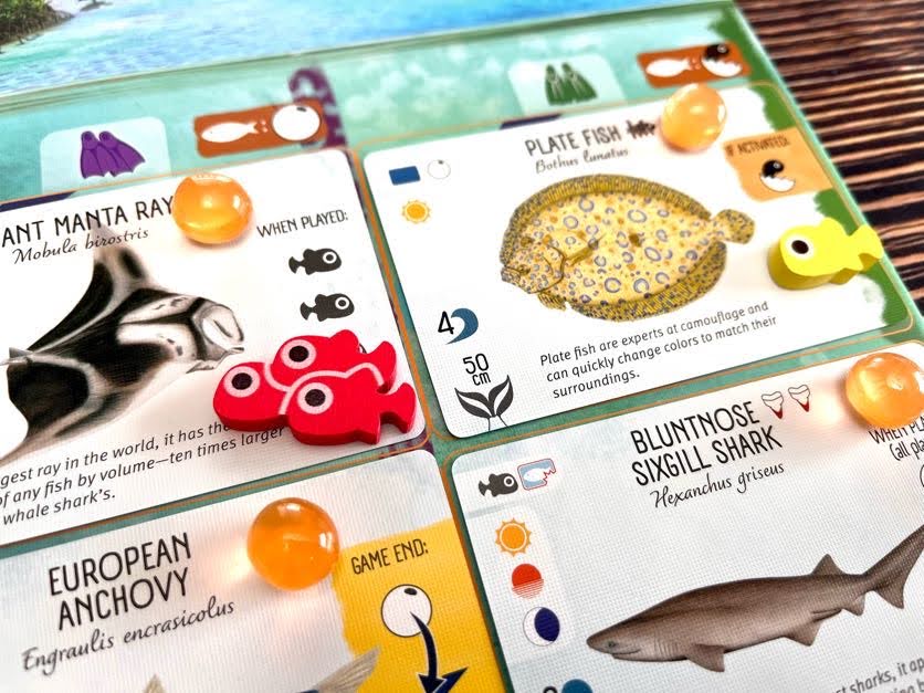 Finspan Upgrade Pack (Wooden Tokens & Squishy Eggs)